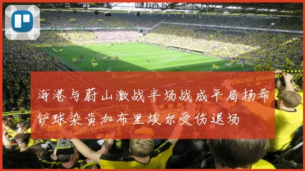 海港与蔚山激战半场战成平局杨希铲球染黄加布里埃尔受伤退场