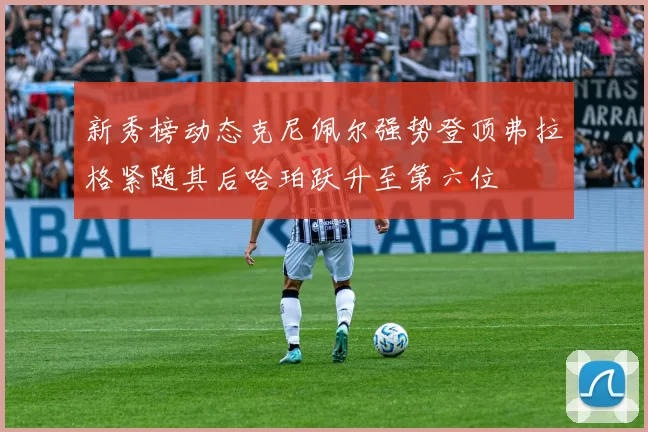新秀榜动态克尼佩尔强势登顶弗拉格紧随其后哈珀跃升至第六位